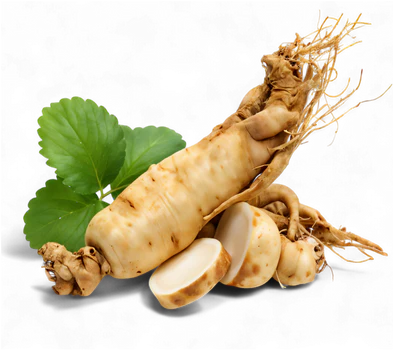 EXTRAIT DE GINSENG